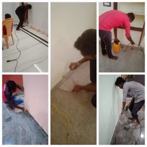 termite control madurai