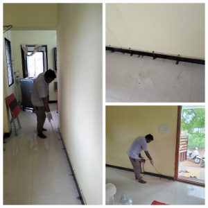 pest control madurai