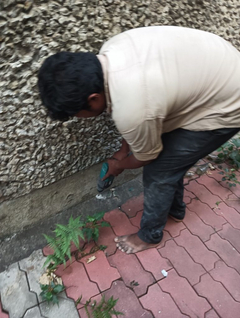 resized IMG20230408180342